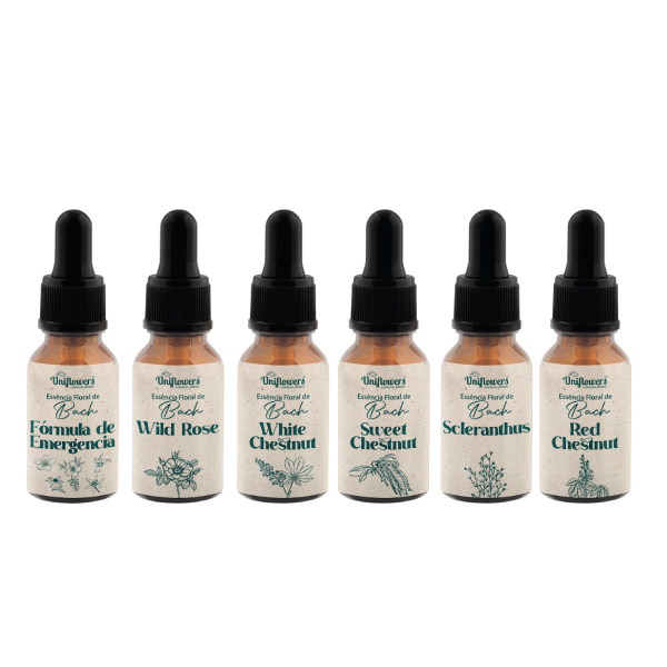 Kit 10 Essências Florais de Bach 10 ML